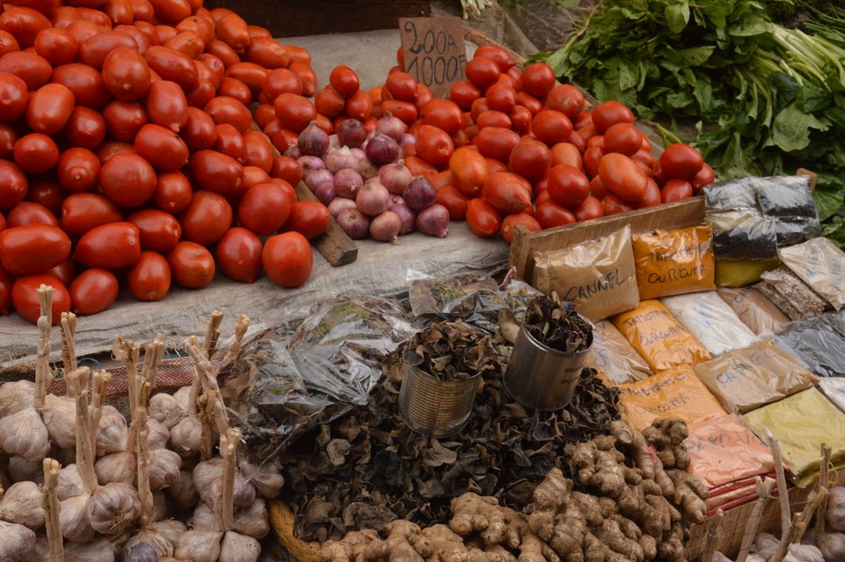 Dehydrated onion and garlic grades for food processors